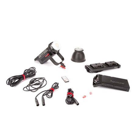 Aputure LS C300d LED Video Light Kit with Gold Mount Battery Plate - SKU#1924874