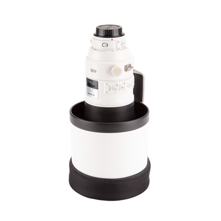 Canon EF 400mm f/2.8L IS III USM Lens