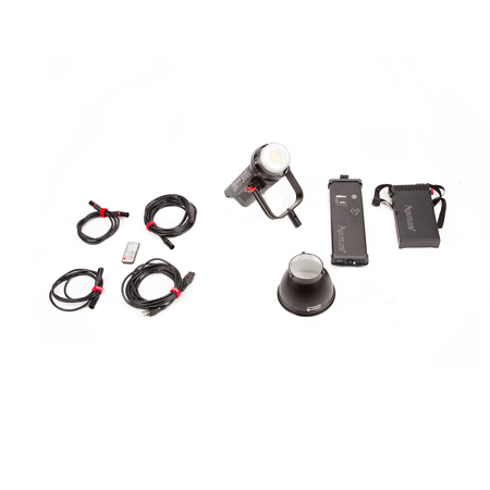 Aputure LS C300d LED Video Light Kit with Gold Mount Battery Plate