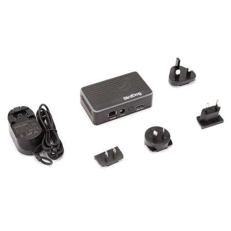 BirdDog Flex 4K Out Full NDI Decoder