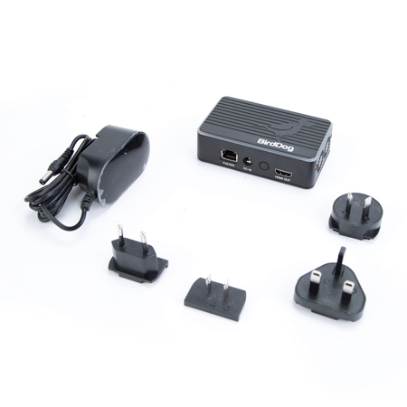 BirdDog Flex 4K Out Full NDI Decoder