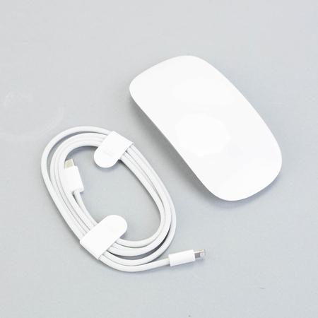 Apple Magic Mouse for Apple iPad and Mac