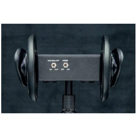 3Dio Free Space Pro II Binaural Microphone