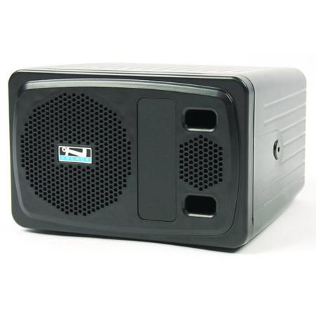 Anchor Audio AN-1001X Unpowered Companion Speaker