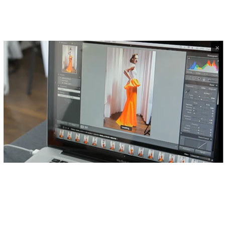 Adobe Design Premium CS 5.5 Suite for Win