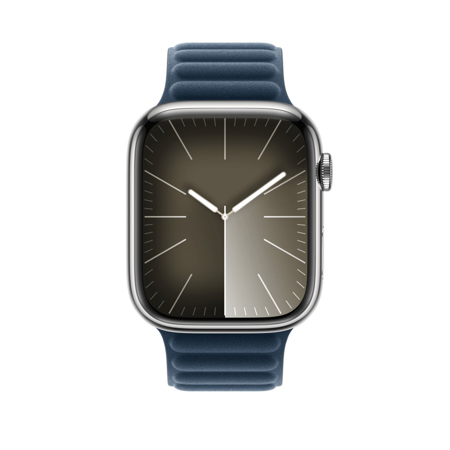 Apple 45mm Magnetic Link display picture 1