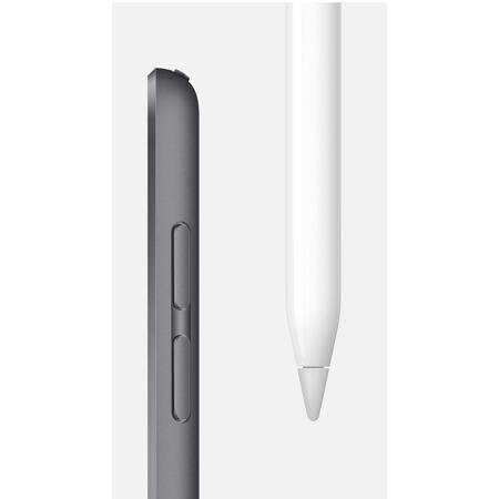 Apple iPad Mini Wi-Fi 64GB, Space Gray, (2019)