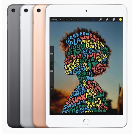 Apple iPad Mini Wi-Fi 64GB, Space Gray, (2019)