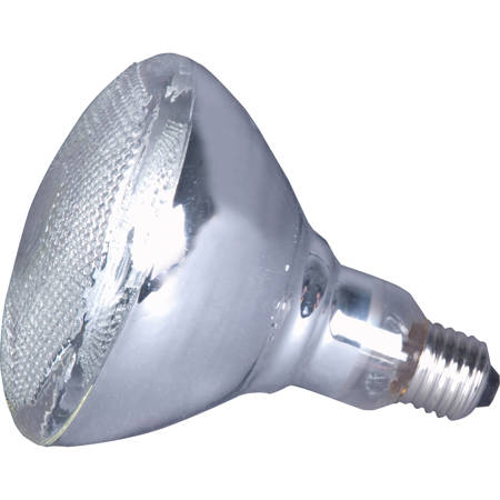American DJ LL PAR38 110V 150W Halogen Replacement Lamp