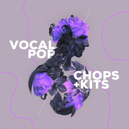 Audiomodern VOCAL POP Expansion Pack for Loopmix Virtual Instrument, Download