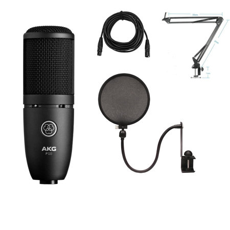 AKG Project Studio P120 Cardioid Condenser Microphone W/Accessoey Kit