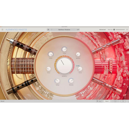 Arturia Augmented YANGTZE Virtual Instrument, Download