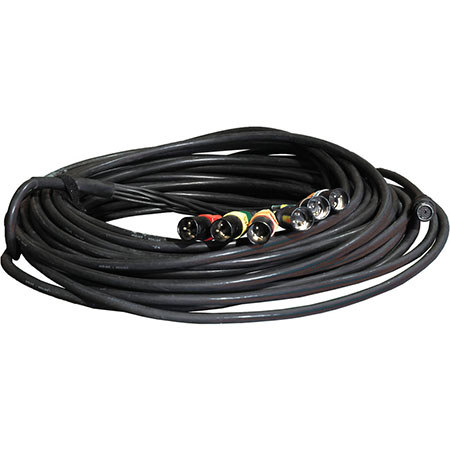 Ambient Recording A-Ray M-Box Multicore Sixfold Cable