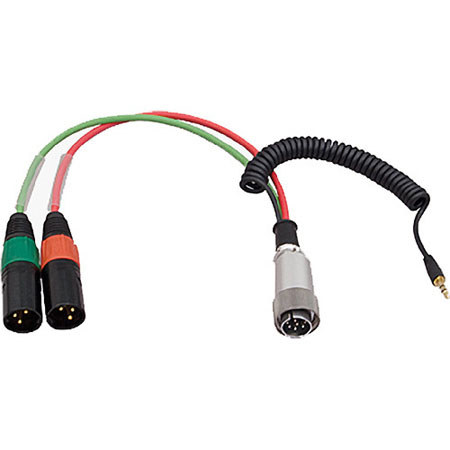 Ambient Recording 10-pin Hirose Male to Dual 3-pin XLR Male Breakout Cable