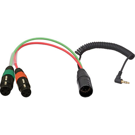 Ambient Recording Inverse Breakout Cable 7-pin XLR Male to Dual 3-pin XLR Female