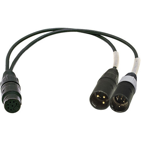 Ambient Recording 10" 7-pin XLR Female to 3-pin XLR Male and 5-pin XLR Male Double-MS Breakout Adapter Cable
