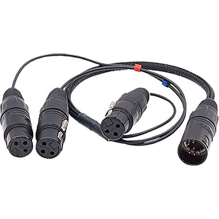 Ambient Recording 10" 3x XLR-3F to 7-pin XLR M Double MS Breakout Adapter Cable