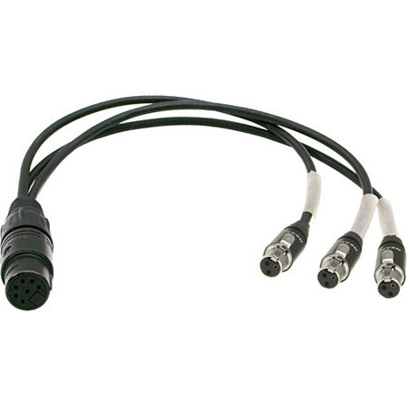 Ambient Recording 10" 7-pin XLR Female to 3x TA3F Double-MS Breakout Cable