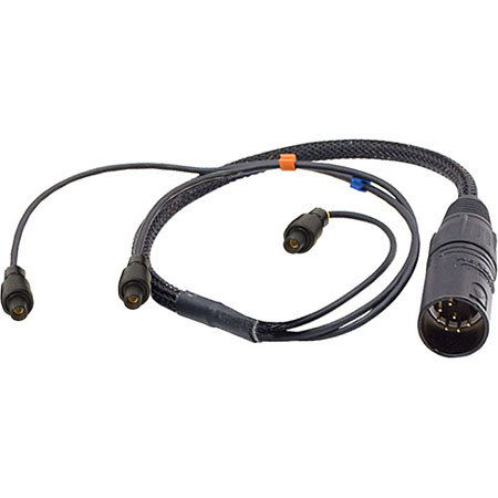 Ambient Recording 12" 2x 3-pin LEMO Triax to 5-pin XLR Male Breakout Cable