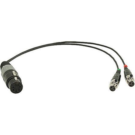 Ambient Recording 24" XLR-5 Female to 2x TA-3F Stereo Cable Adapter