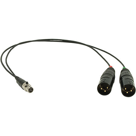 Ambient Recording 15" TA3F to 2x XLR-3M Unbalanced Adapter Cable