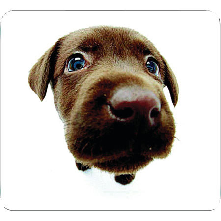 Allsop Chocolate Lab Mouse Pad