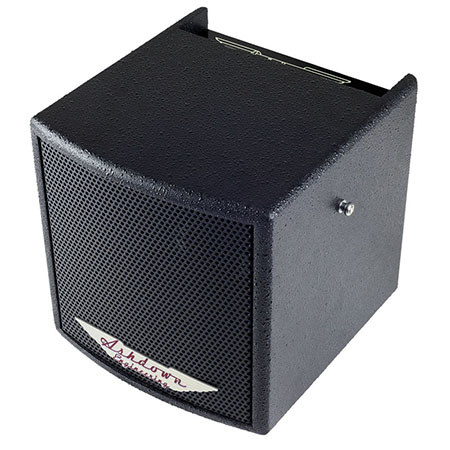 Ashdown 40 Watt Acoustic Powered Extension Cabinet, Black