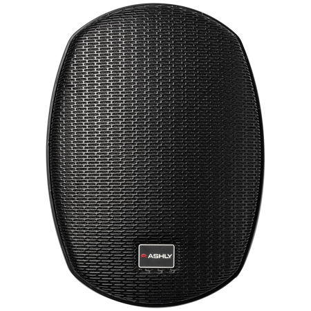 Ashly AW Series AW5.2T+ 5.25" 2-Way 50W Indoor/Outdoor Wall Mount Speaker with Transformer, Black, Pair