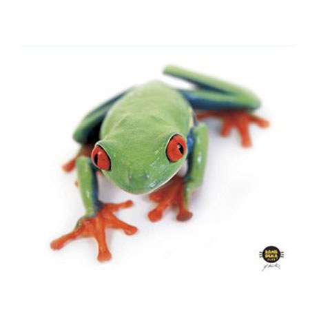 Allsop Microfiber Cleaning Cloth, Tree Frog