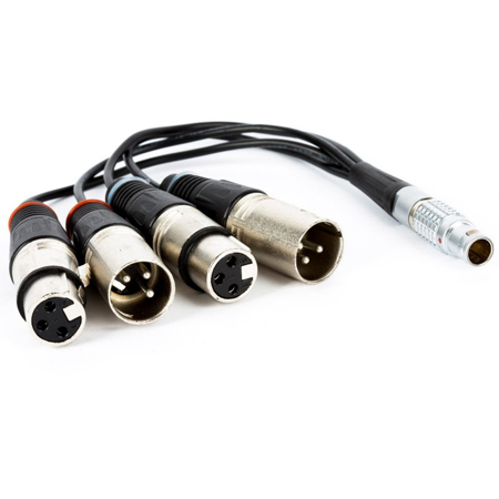 Atomos Lemo to XLR Breakout Cable for Shogun Recorder/Monitor