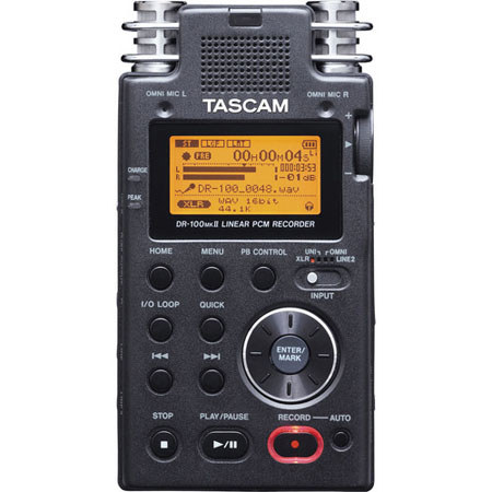Tascam DR-100 2-Channel Linear PCM Recorder