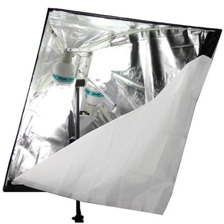Alzo Digital 200 CFL Umbrella Softbox 2-Light Kit with Cases and Stands, 5500K