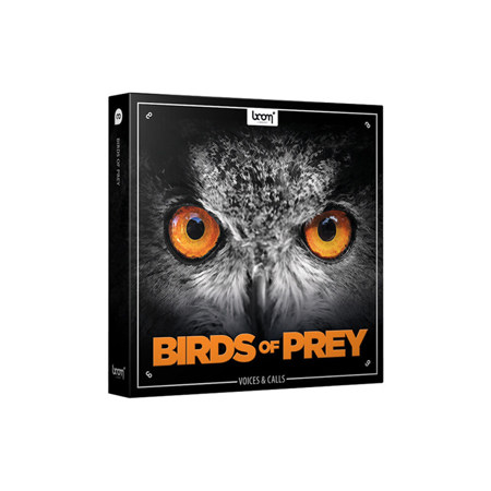 BOOM Library BIRDS OF PREY Sound Effects Library, Download