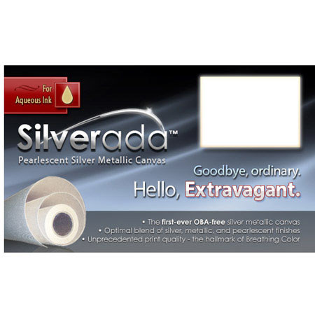 Breathing Color Silverada Silver Metallic Fine Art Inkjet Canvas, 17x10' Roll