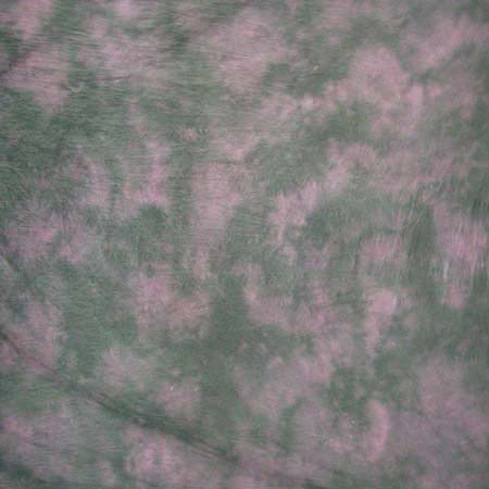 Adorama Effex Muslin Background Background Style No 250