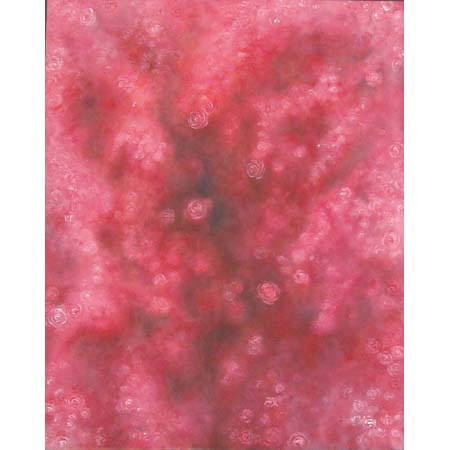 Adorama Abstract Art Muslin Background Style No. 263