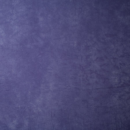 Adorama Color Pattern 10x12 Muslin Background Style 528