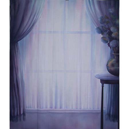 Adorama Scenic 10 x 12Ft Muslin Background Style 903