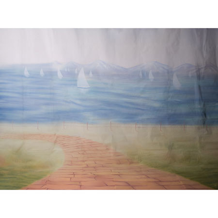 Belle Drape Scenic 10 x 12Ft Muslin Background Style 913