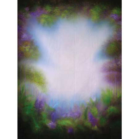 Adorama Scenic 10 x 12Ft Muslin Background Style 915
