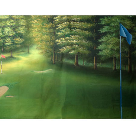 Belle Drape Scenic 10 x 12Ft Muslin Background Style 954