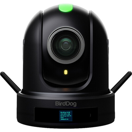 BirdDog X120 1080p NDI|HX3/SDI/HDMI/USB Wi-Fi Live Streaming 20x PTZ Camera