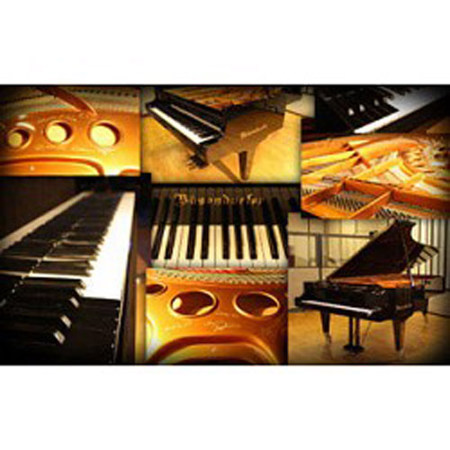Best Service Galaxy II Vienna Grand Piano, Download