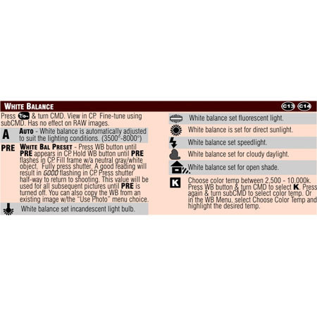 PhotoBert Photo CheatSheet for Nikon D80 SLR Camera