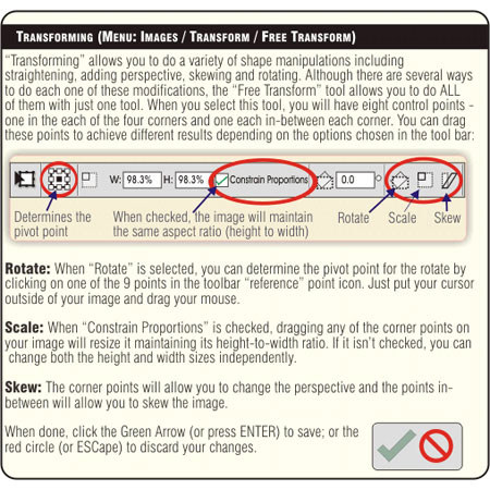 PhotoBert Photoshop Elements CheatSheet Card