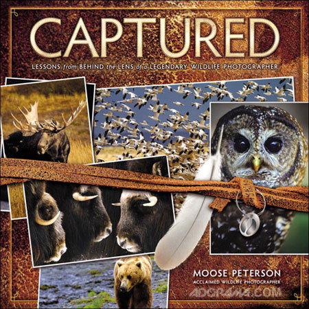 Lessons Behind Lens of a Legendary Wildlife Photgrapher