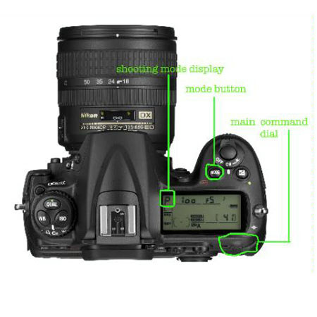 Wiley Publishers: Field Guide for Nikon D300, Thomas