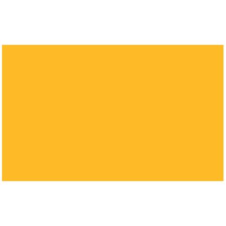 Adorama Seamless Background Paper, 53" wide x 12 yards, Marigold, #169