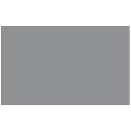 Adorama Seamless Background Paper, 53" wide x 12 yards, Graystone, #22