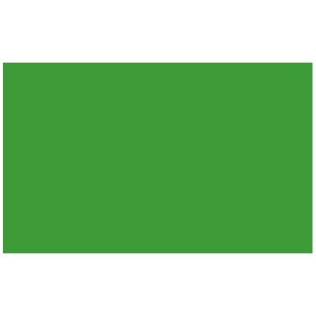 Adorama Seamless Background Paper, 53" wide x 12 yards, Veri-Green, #31